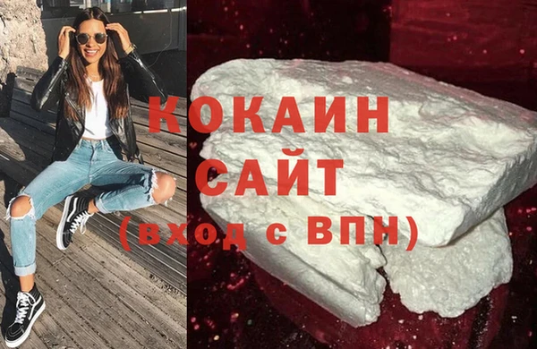 ECSTASY Богданович