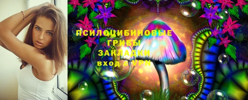 мега зеркало  Оханск  Галлюциногенные грибы Psilocybe  где купить наркоту 